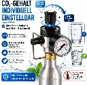 CO2 Druckminderer Set für 425g Zylinder – kompatibel mit BRITA Yource, Neo & Quooker Cube System - Z (1).webp